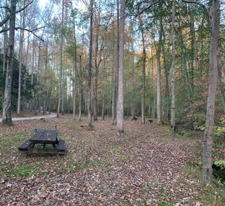 Camper-submitted photo from Cub Lake Campground #2 — Natchez Trace State Park