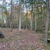 Review photo of Cub Lake Campground #2 — Natchez Trace State Park by Alexandra T., October 23, 2020