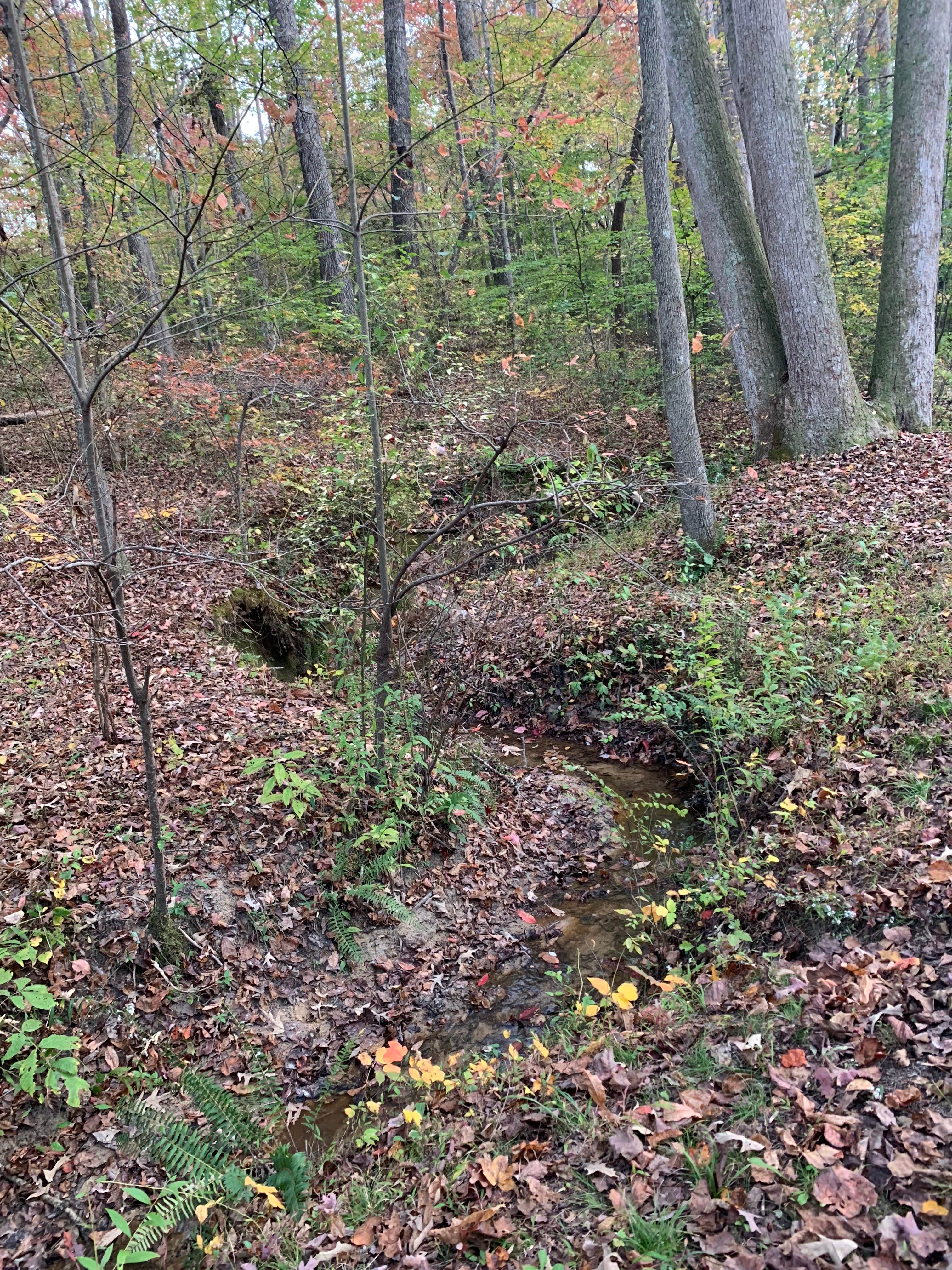 Camper-submitted photo at Cub Lake Campground #2 — Natchez Trace State Park near Pinson, TN