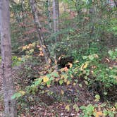 Review photo of Cub Lake Campground #2 — Natchez Trace State Park by Alexandra T., October 23, 2020