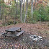 Review photo of Cub Lake Campground #2 — Natchez Trace State Park by Alexandra T., October 23, 2020