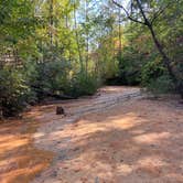 Review photo of Providence Canyon State Park Campground by Kristin R., October 23, 2020