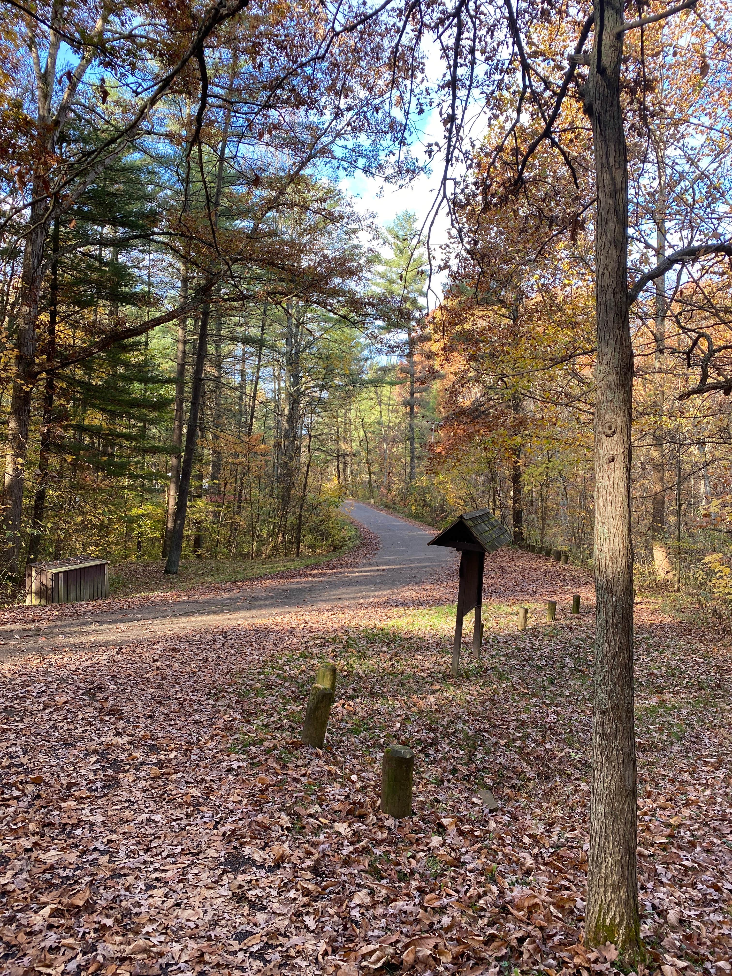 Camper submitted image from Burr Oak Cove Campground - 4