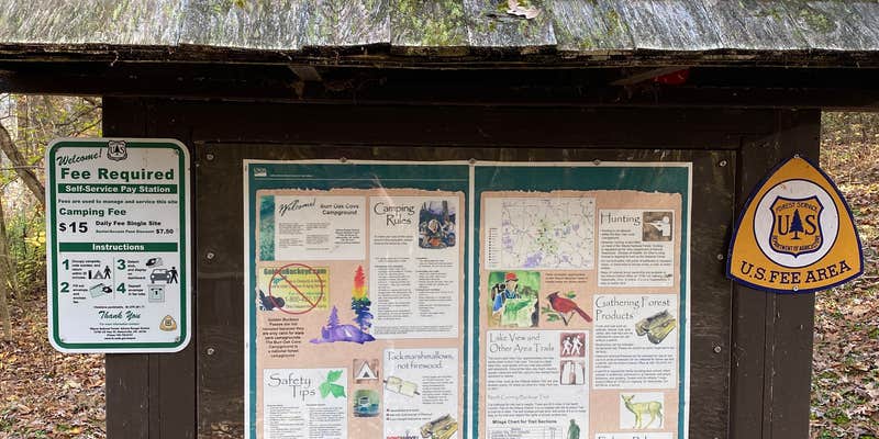 Camper submitted image from Burr Oak Cove Campground