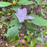 Review photo of Providence Canyon State Park Campground by Kristin R., October 23, 2020