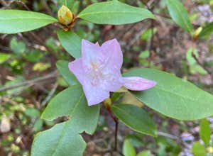 Providence Canyon State Park Campground