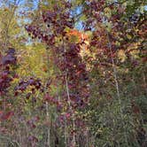 Review photo of Providence Canyon State Park Campground by Kristin R., October 23, 2020