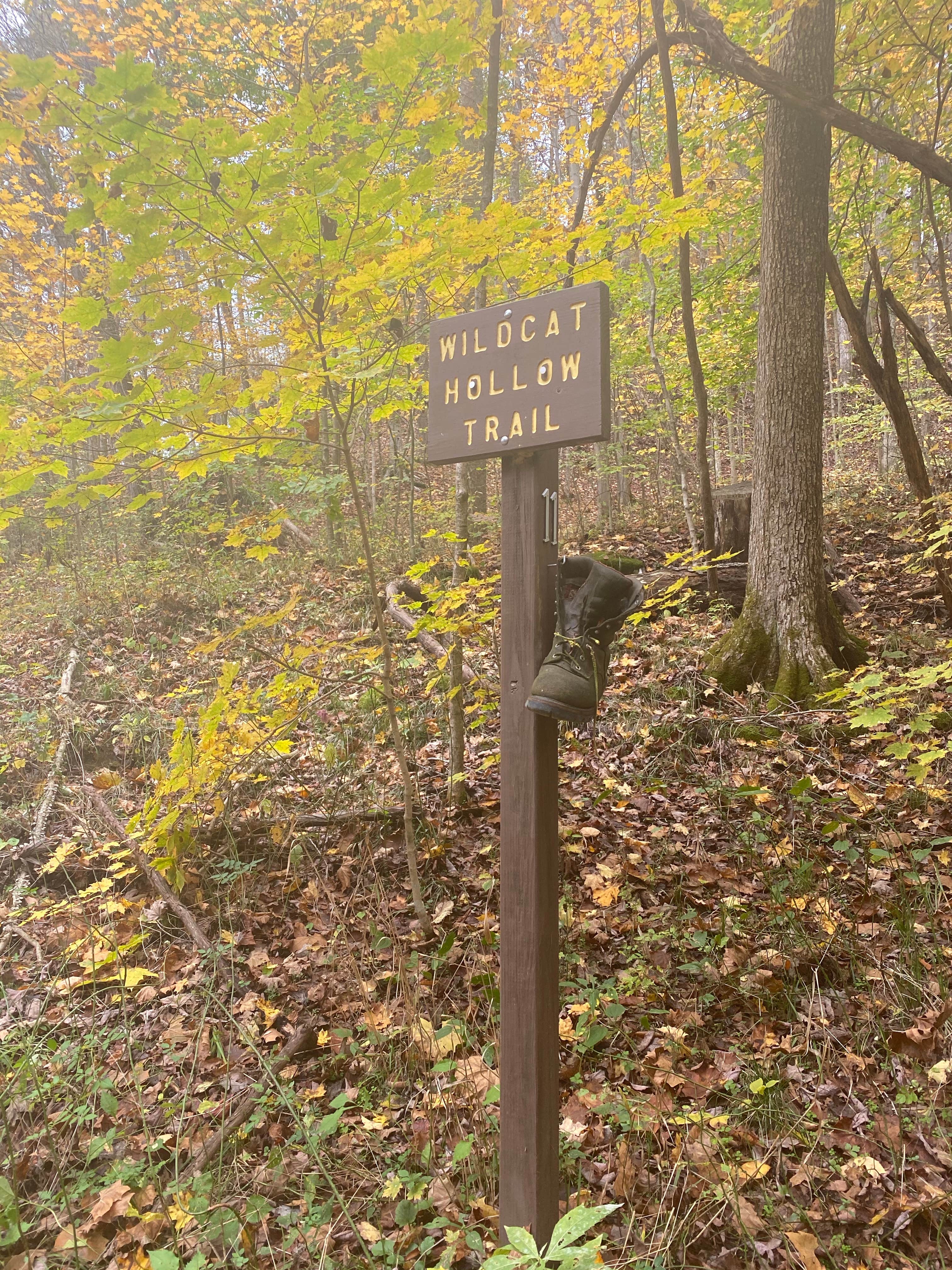Signs & Maps