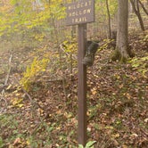 Review photo of Wildcat Hollow Hiking Trail Dispersed by Steve C., October 23, 2020