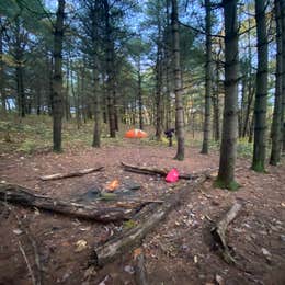 Wildcat Hollow Hiking Trail Dispersed