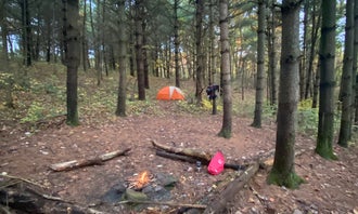 Camping near Benton's on the Baileys: Wildcat Hollow Hiking Trail Dispersed, Corning, Ohio