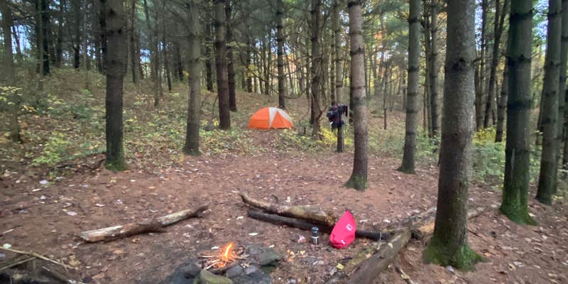 Camper submitted image from Wildcat Hollow Hiking Trail Dispersed