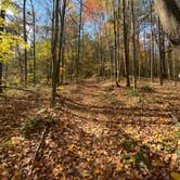 Review photo of Wildcat Hollow Hiking Trail Dispersed by Steve C., October 23, 2020