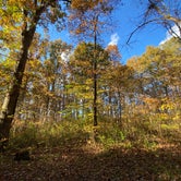 Review photo of Wildcat Hollow Hiking Trail Dispersed by Steve C., October 23, 2020