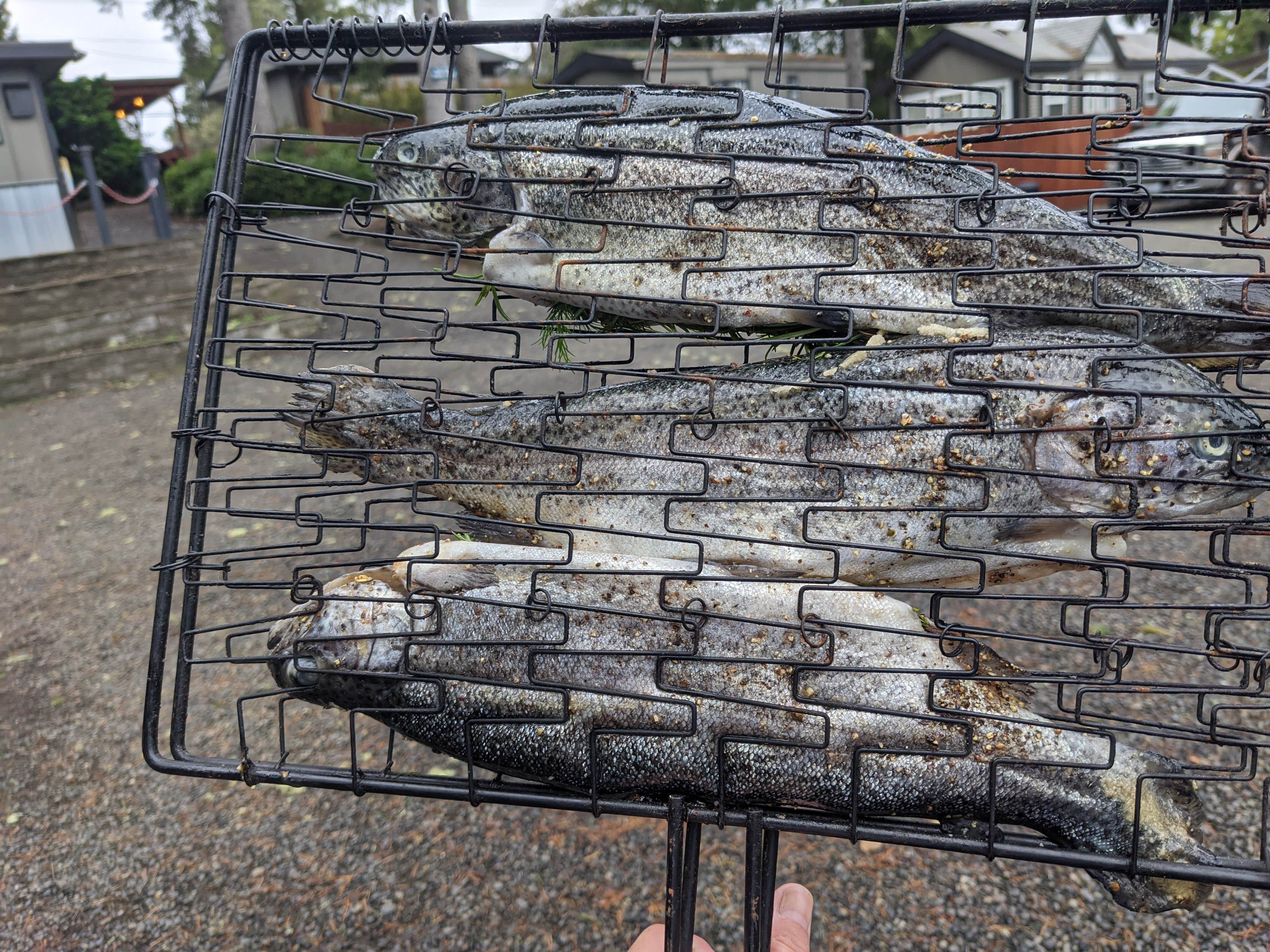 Camper-submitted photo at LOGE Westport near Aberdeen, WA