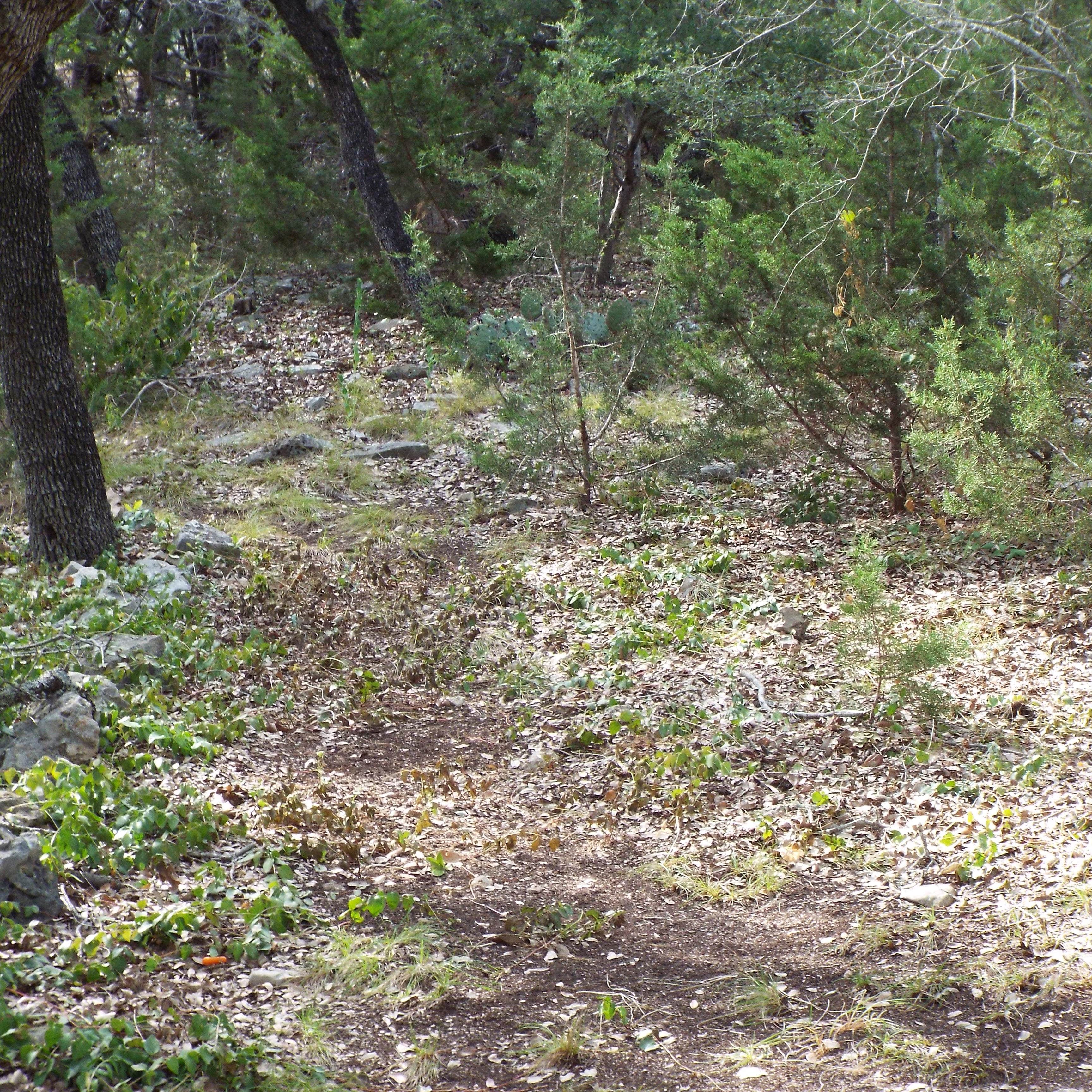 Lazy L And L Campground - divl346