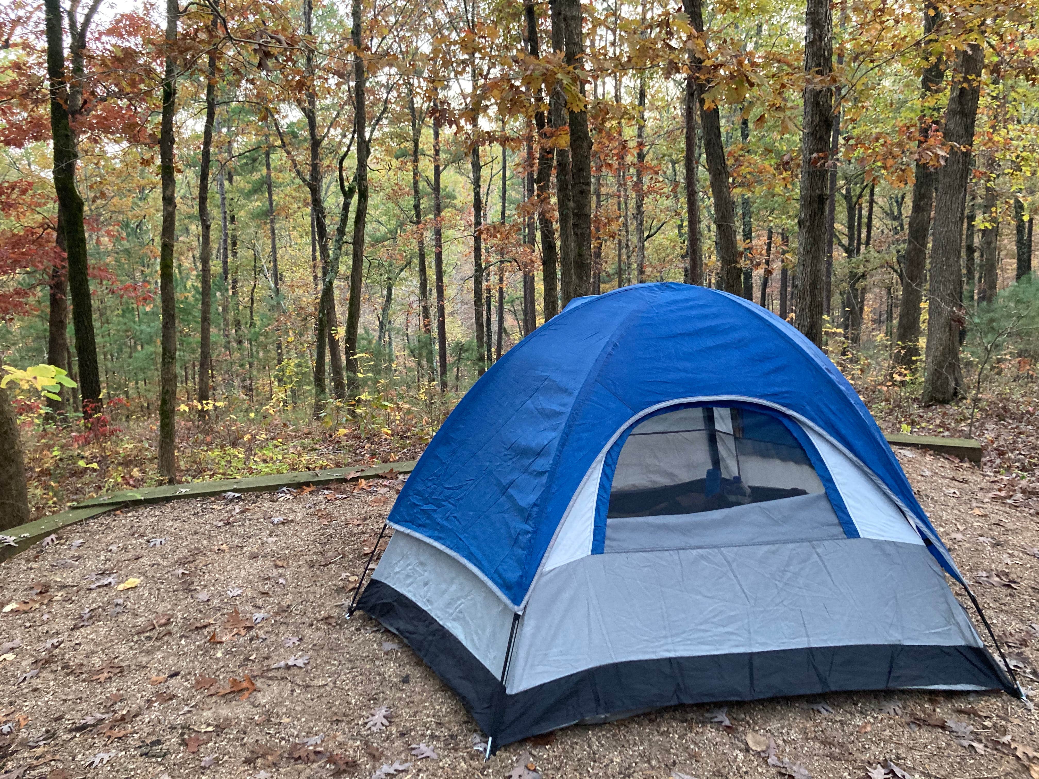 M K.'s photo at Wild Boar Ridge Campground near Irondale, MO