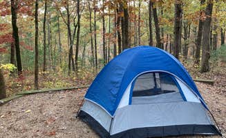 M K.'s photo of tent camping at Wild Boar Ridge Campground near Fults, IL