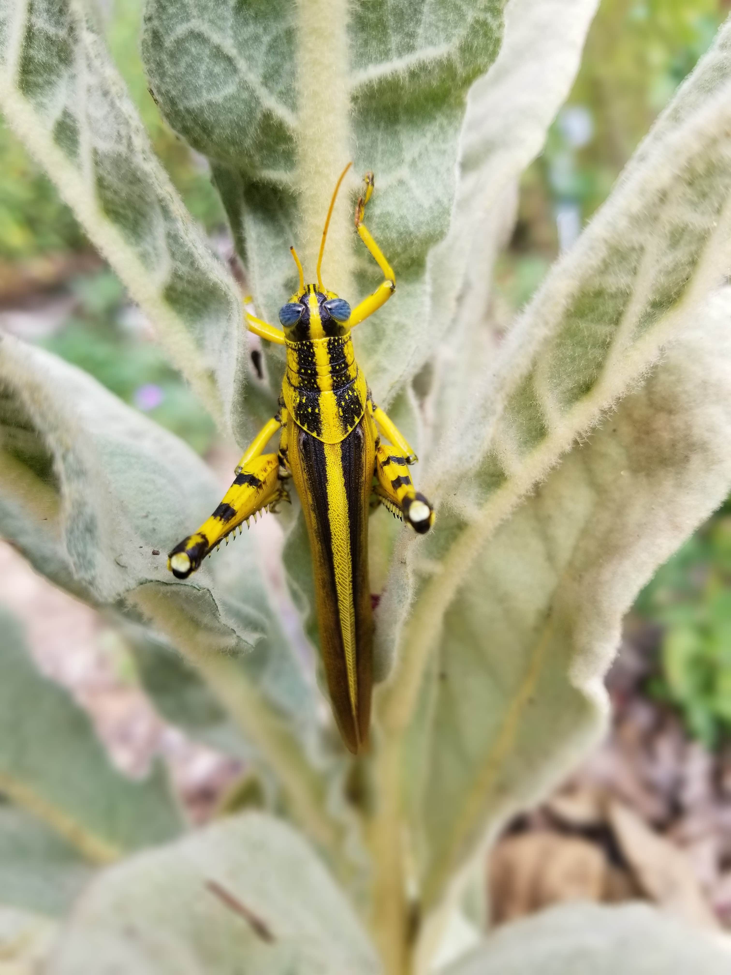 Camper-submitted photo at Lake Pointe Resort near Fischer, TX