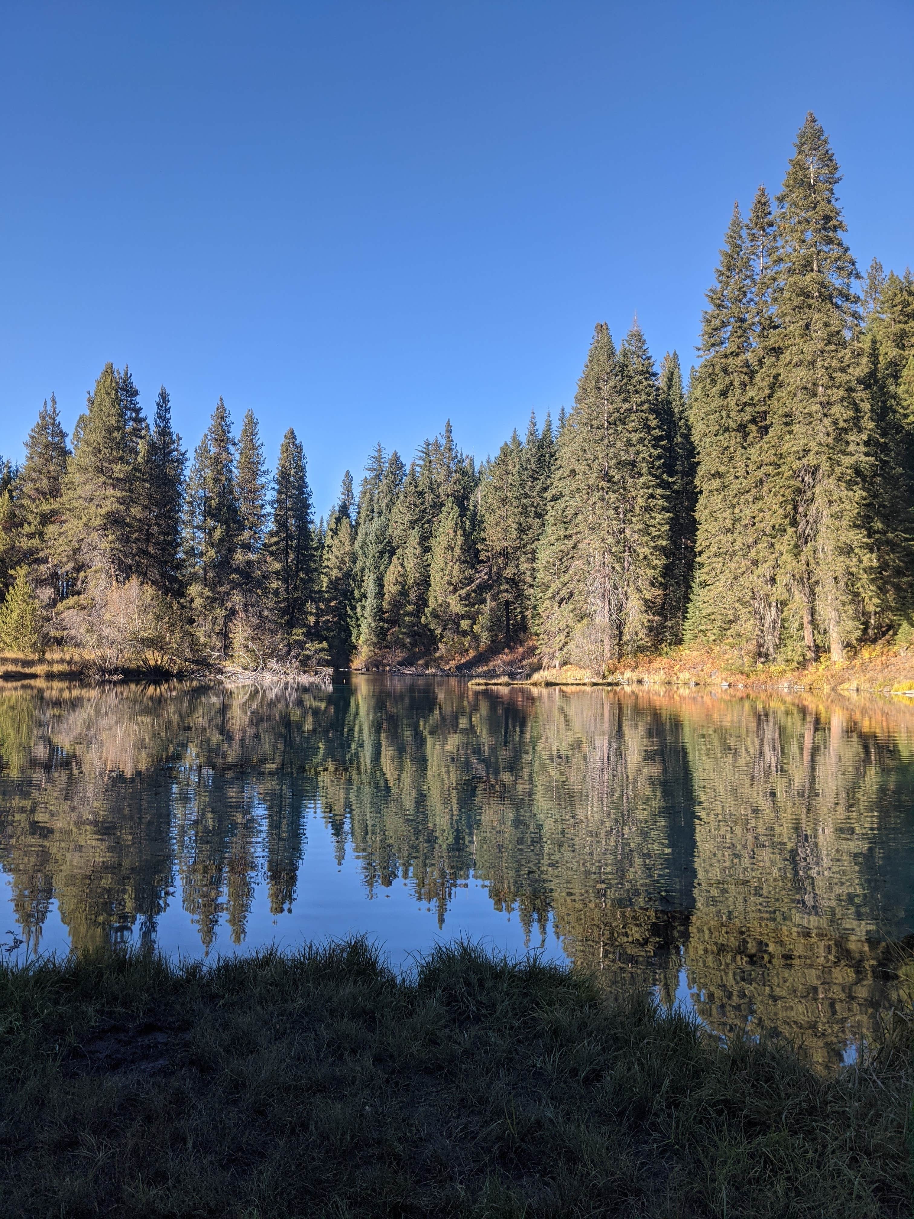 Jackson F. Kimball State Recreation Site The Dyrt