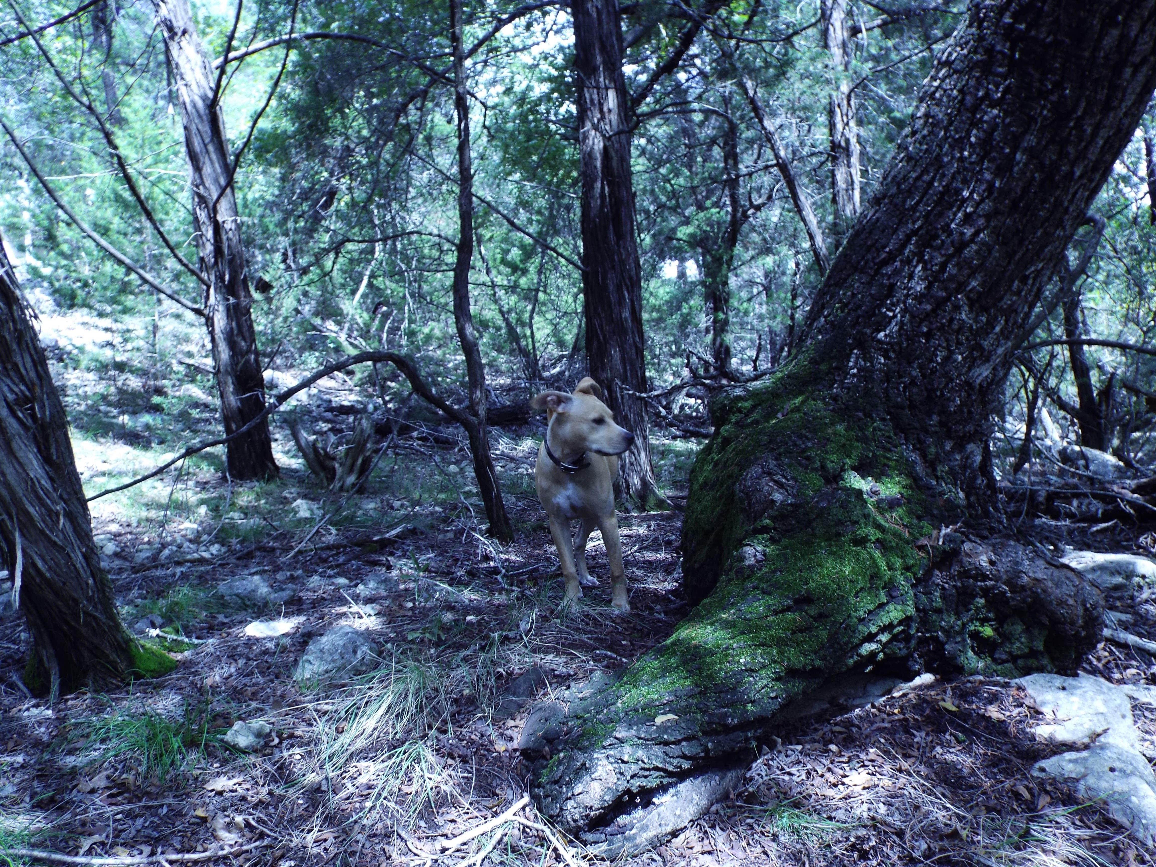 Camper-submitted photo at Landa RV Park & Campground near Seguin, TX