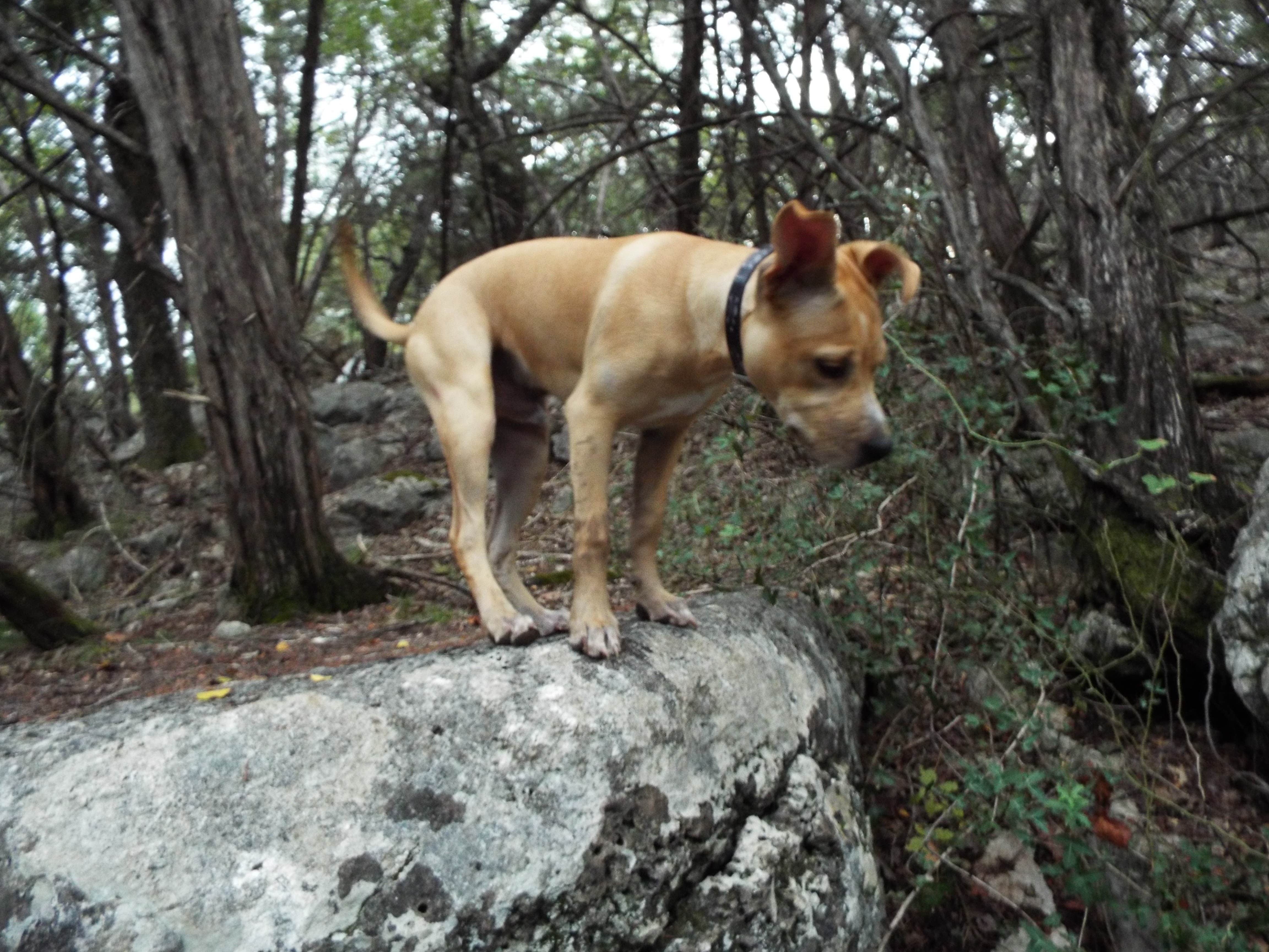 Camper-submitted photo at Landa RV Park & Campground near Seguin, TX