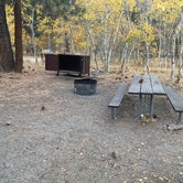 Review photo of Lower Lee Vining Campground by Khang N., October 23, 2020