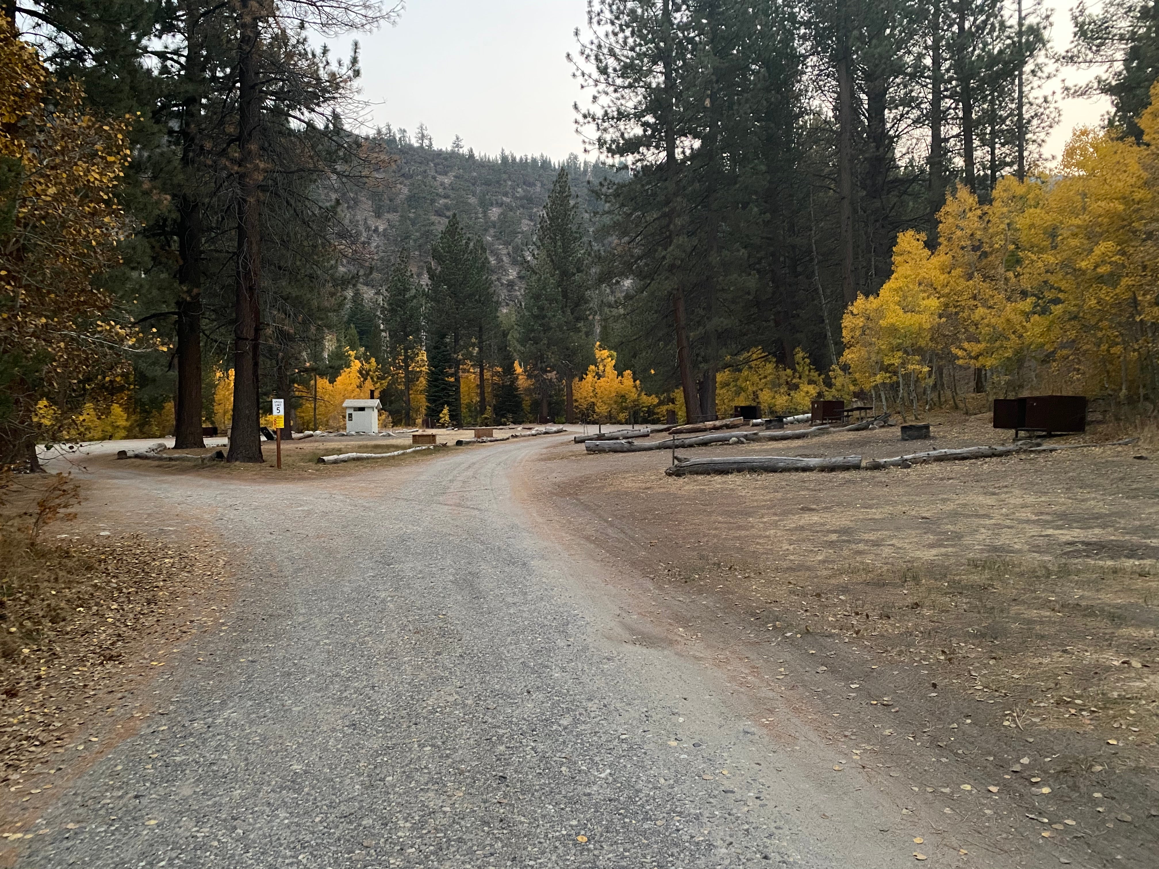 Camper submitted image from Lower Lee Vining Campground - 4