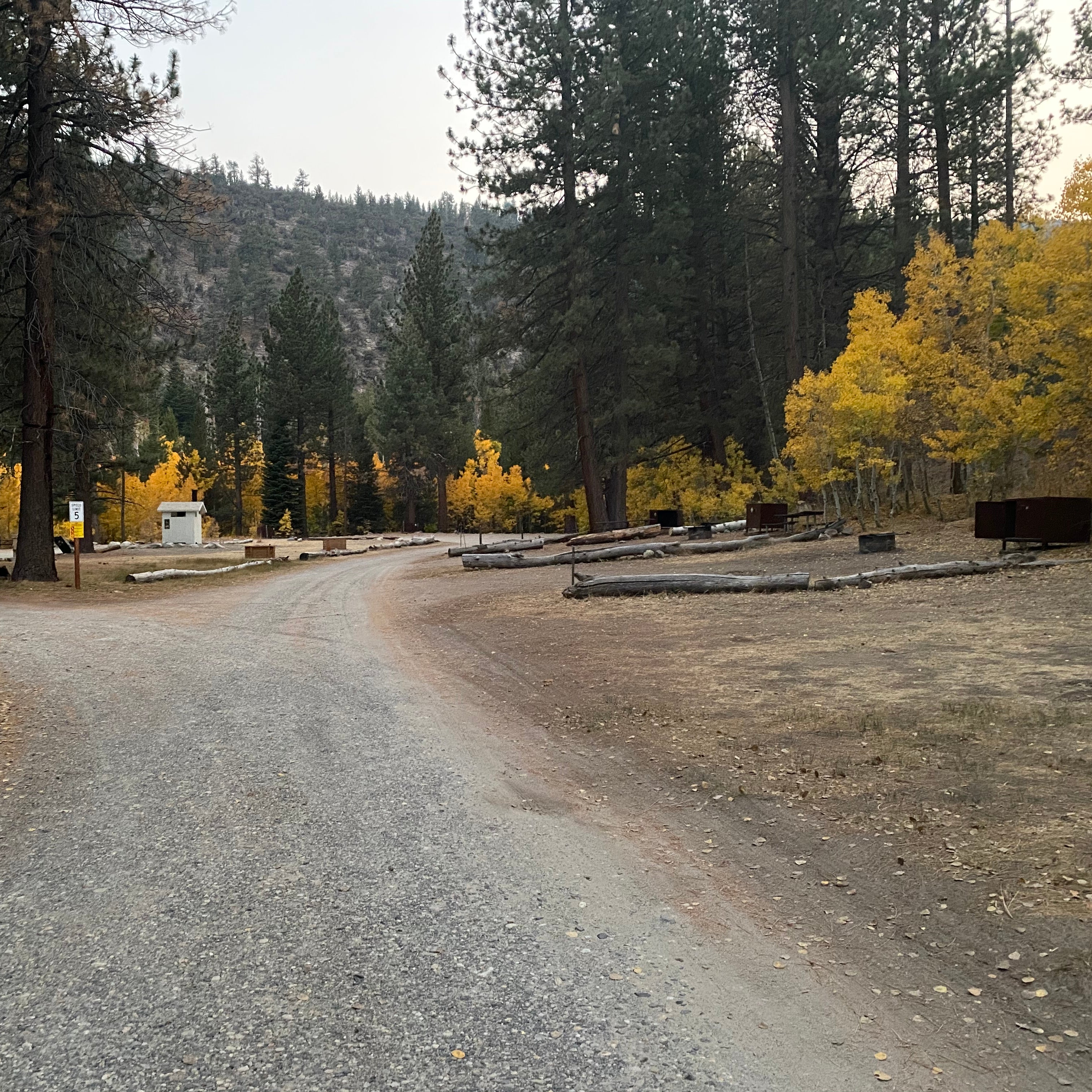 Lower Lee Vining Campground Camping | The Dyrt