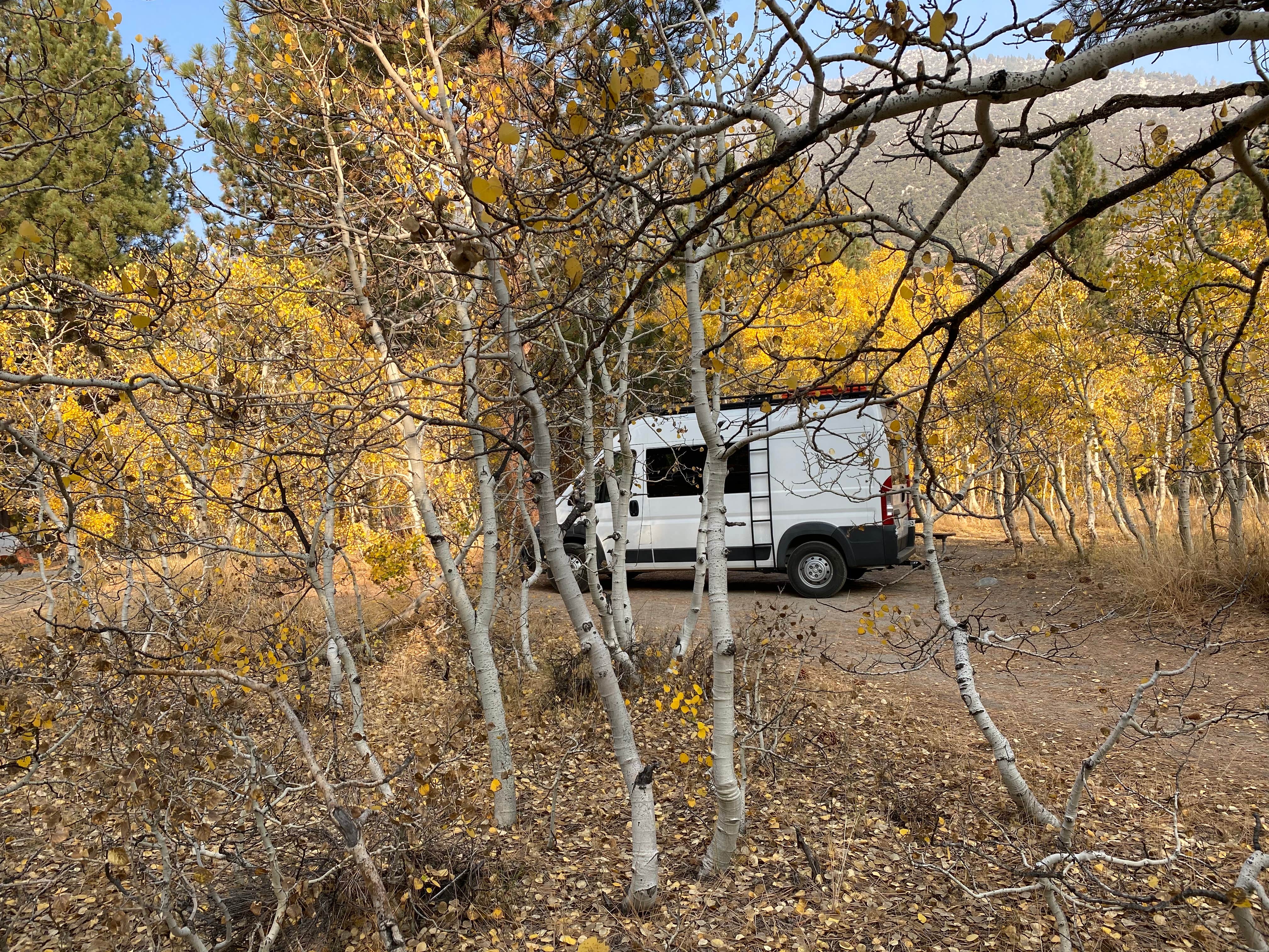 Camper-submitted photo at Lower Lee Vining Campground near June Lake, CA
