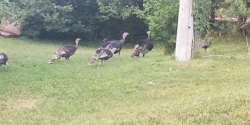 Camper submitted image from Langeliers Bay