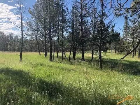 Camper-submitted photo at Iron Nation near Fort Pierre, SD