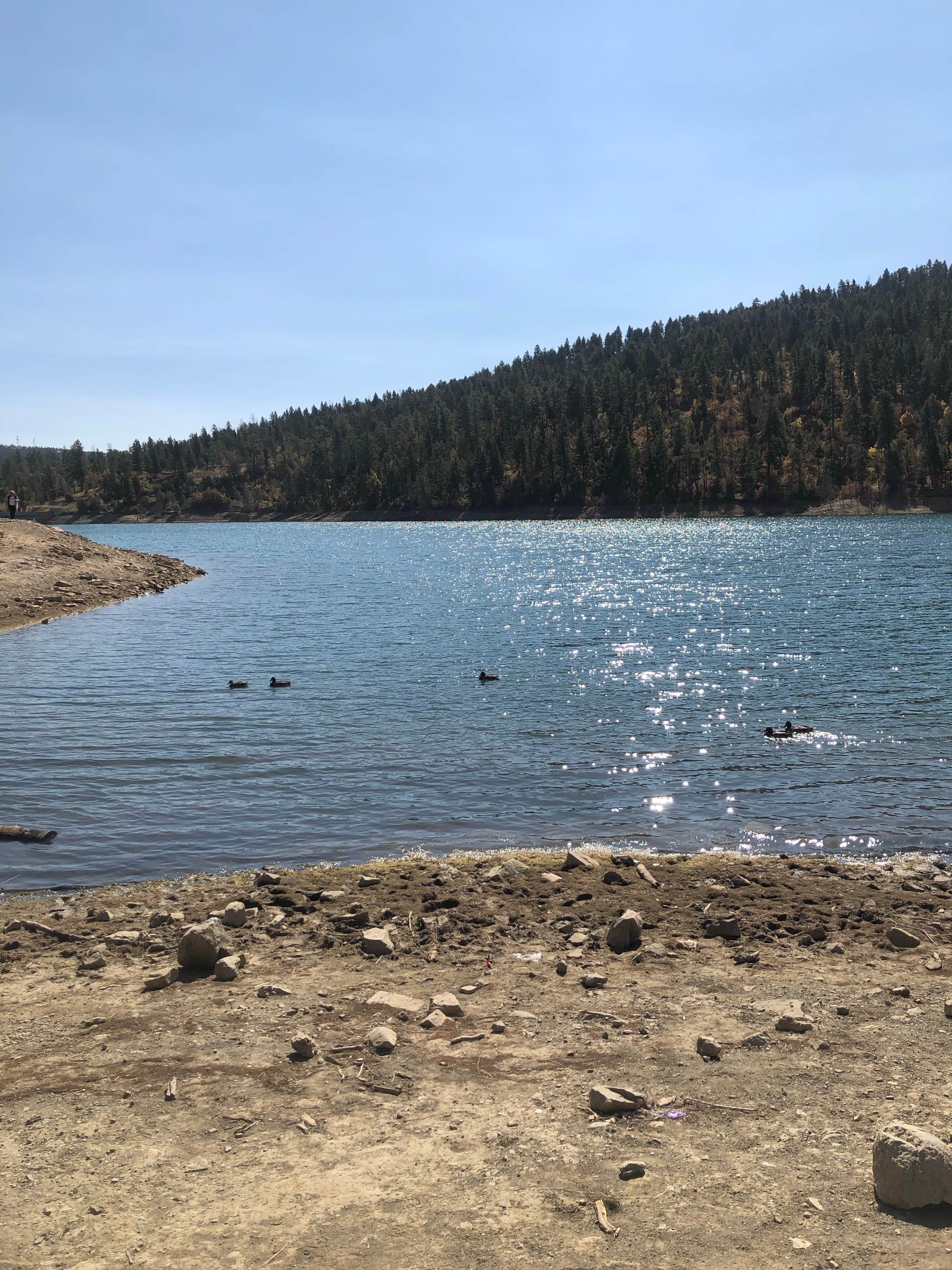 Camper-submitted photo at Grindstone lake near Ruidoso Downs, NM