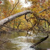 Review photo of Twin Mills Camping Resort by Barbara P., October 23, 2020