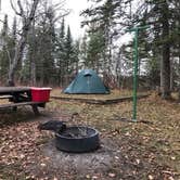 Review photo of Franz Jevne State Park Campground by HollyRose M., October 23, 2020