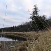 Review photo of Franz Jevne State Park Campground by HollyRose M., October 23, 2020