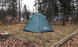 HollyRose M.'s photo at Franz Jevne State Park Campground near International Falls, MN