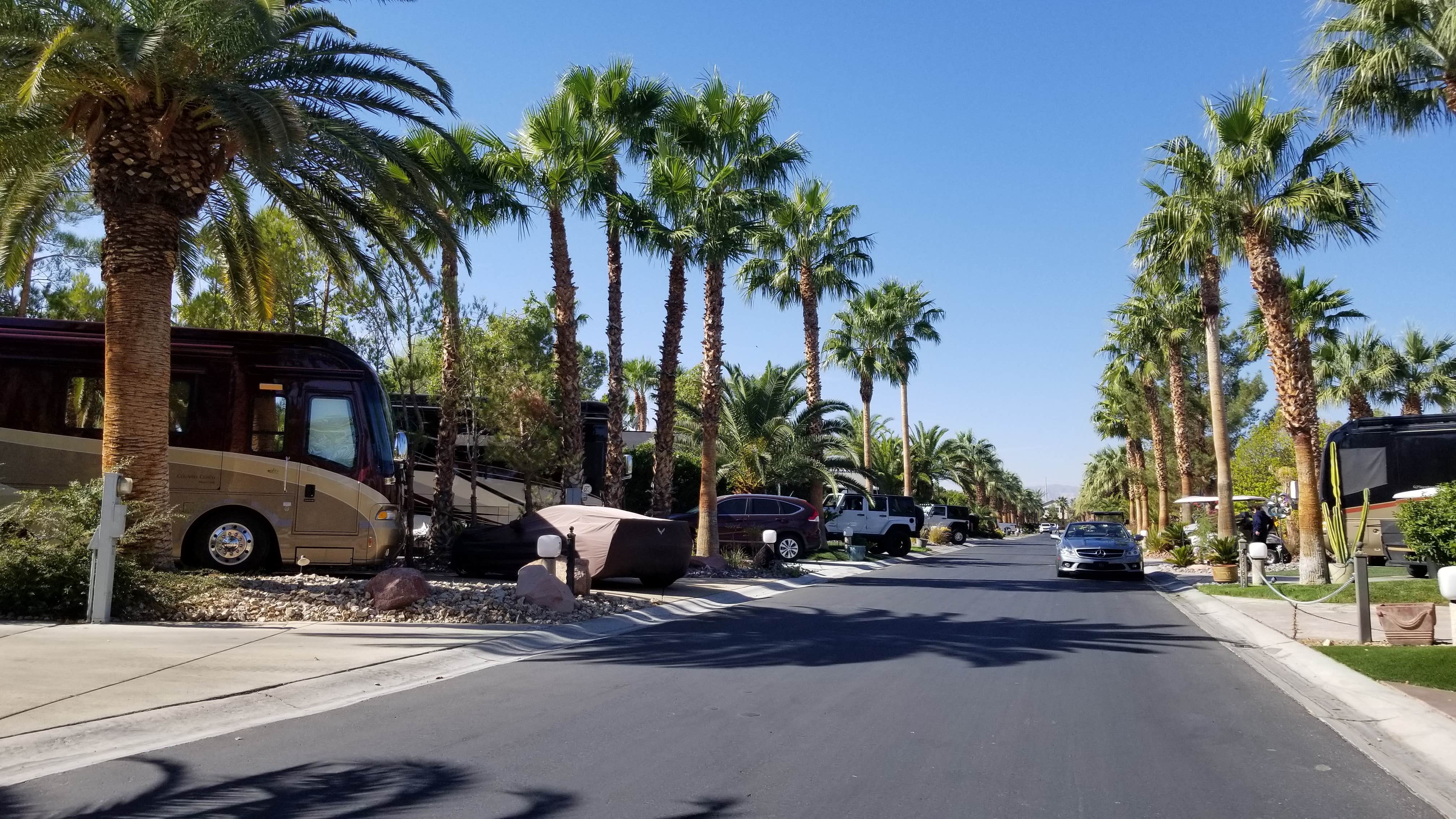 Camper submitted image from Las Vegas Motorcoach Resort - 5