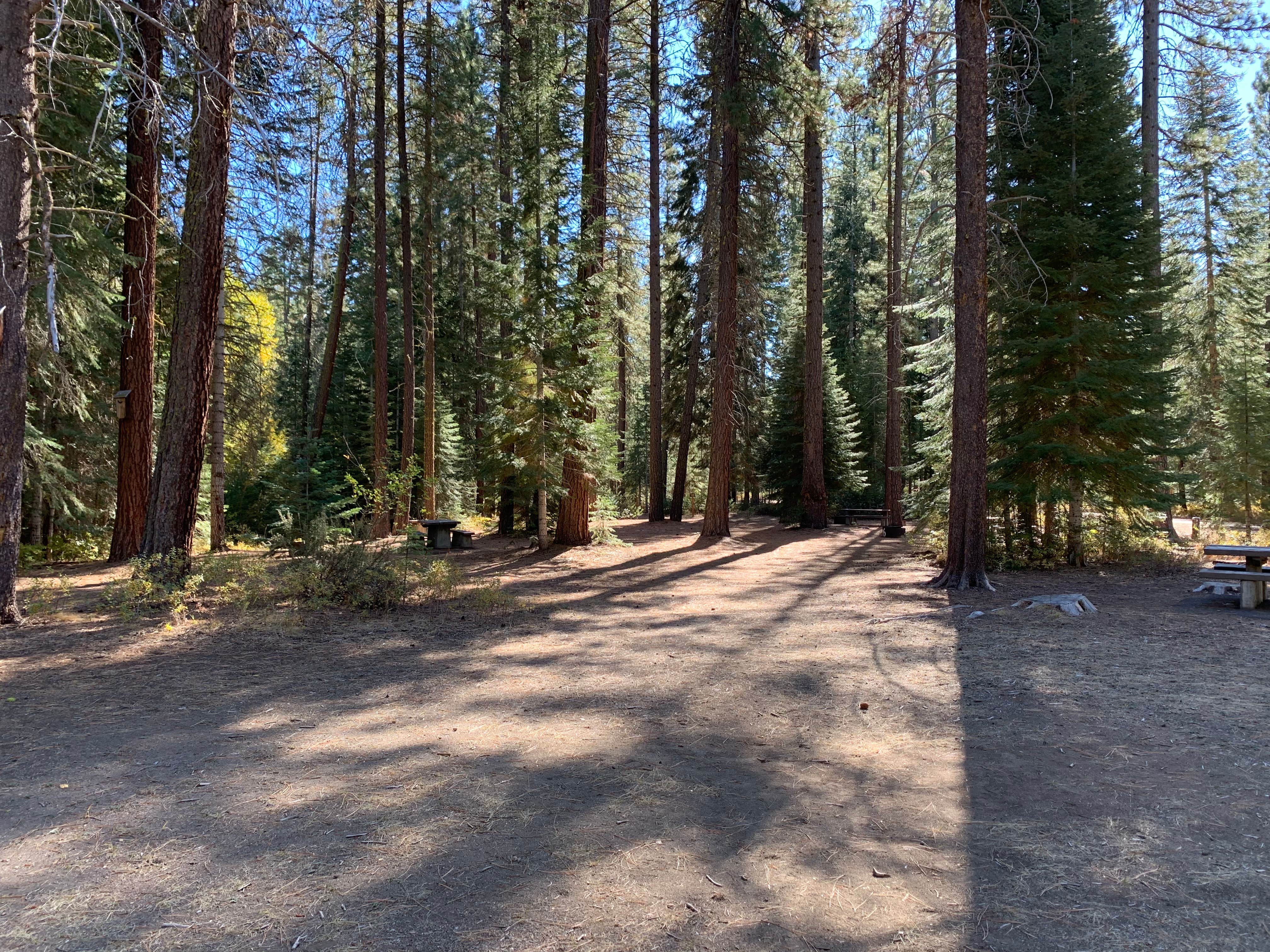 Camper-submitted photo at Jackson F. Kimball State Recreation Site near Crater Lake, OR