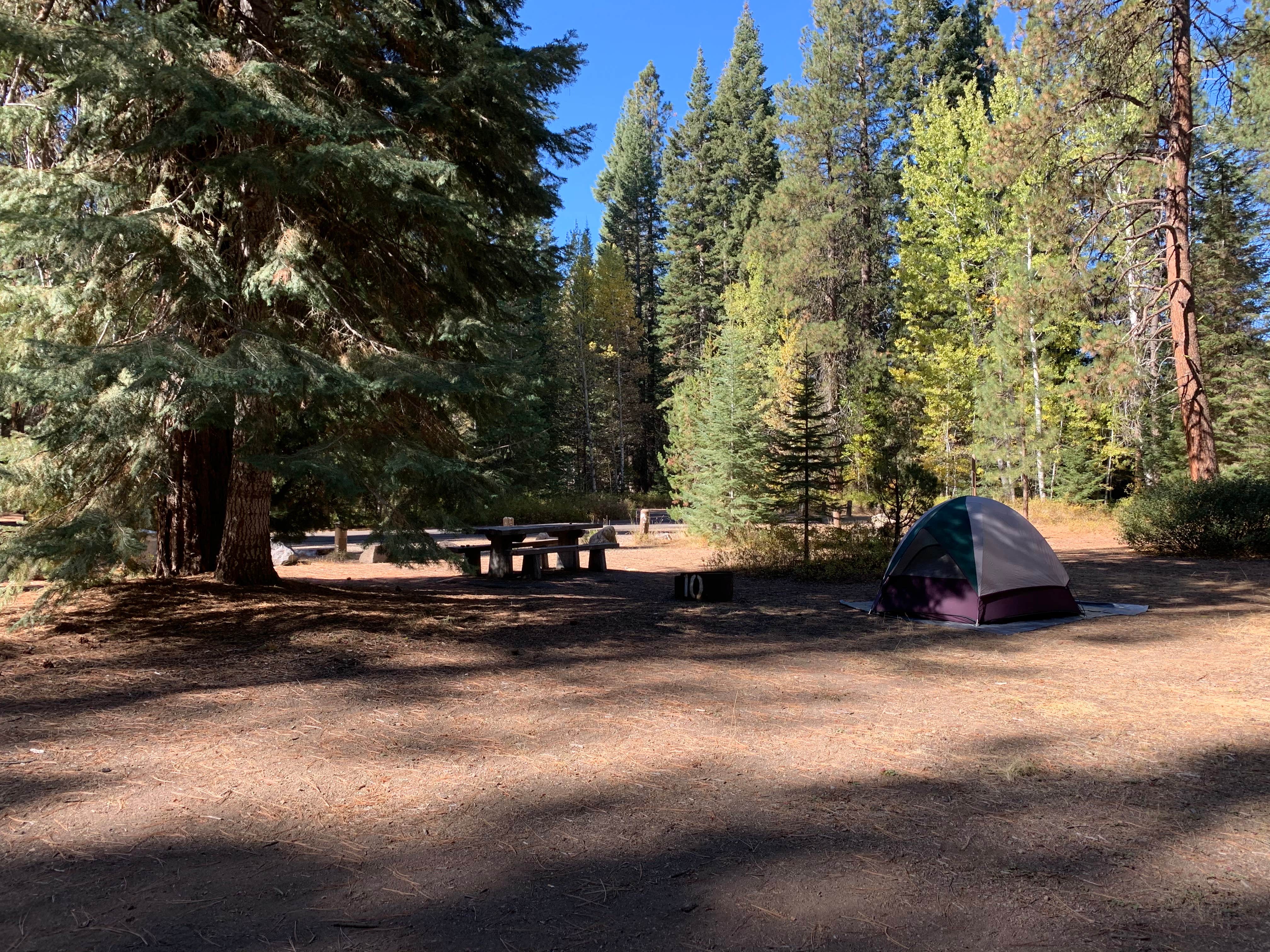 Wanderfalds L.'s photo of a dispersed camping area at Jackson F. Kimball State Recreation Site near Klamath Falls, OR