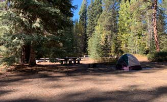 Wanderfalds L.'s photo of a dispersed camping area at Jackson F. Kimball State Recreation Site in Oregon