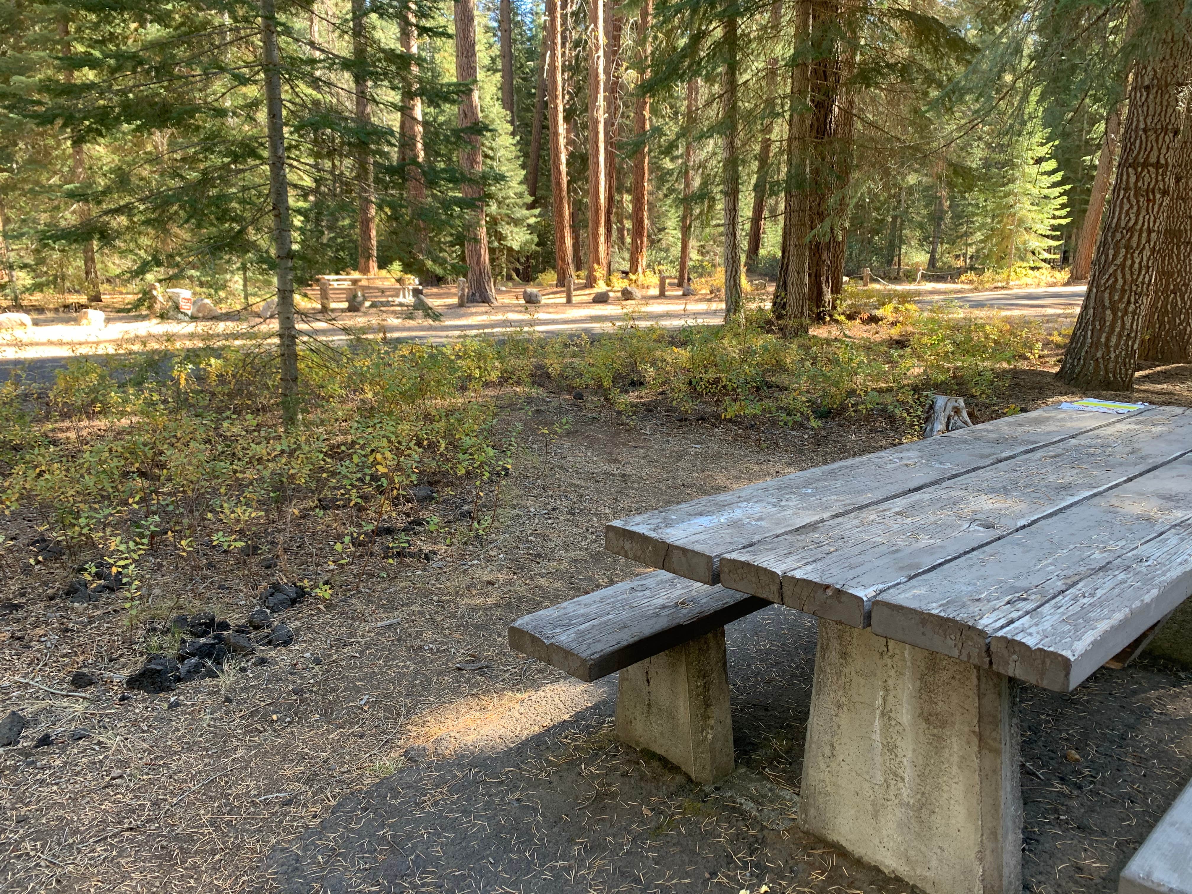 Camper submitted image from Jackson F. Kimball State Recreation Site - 5