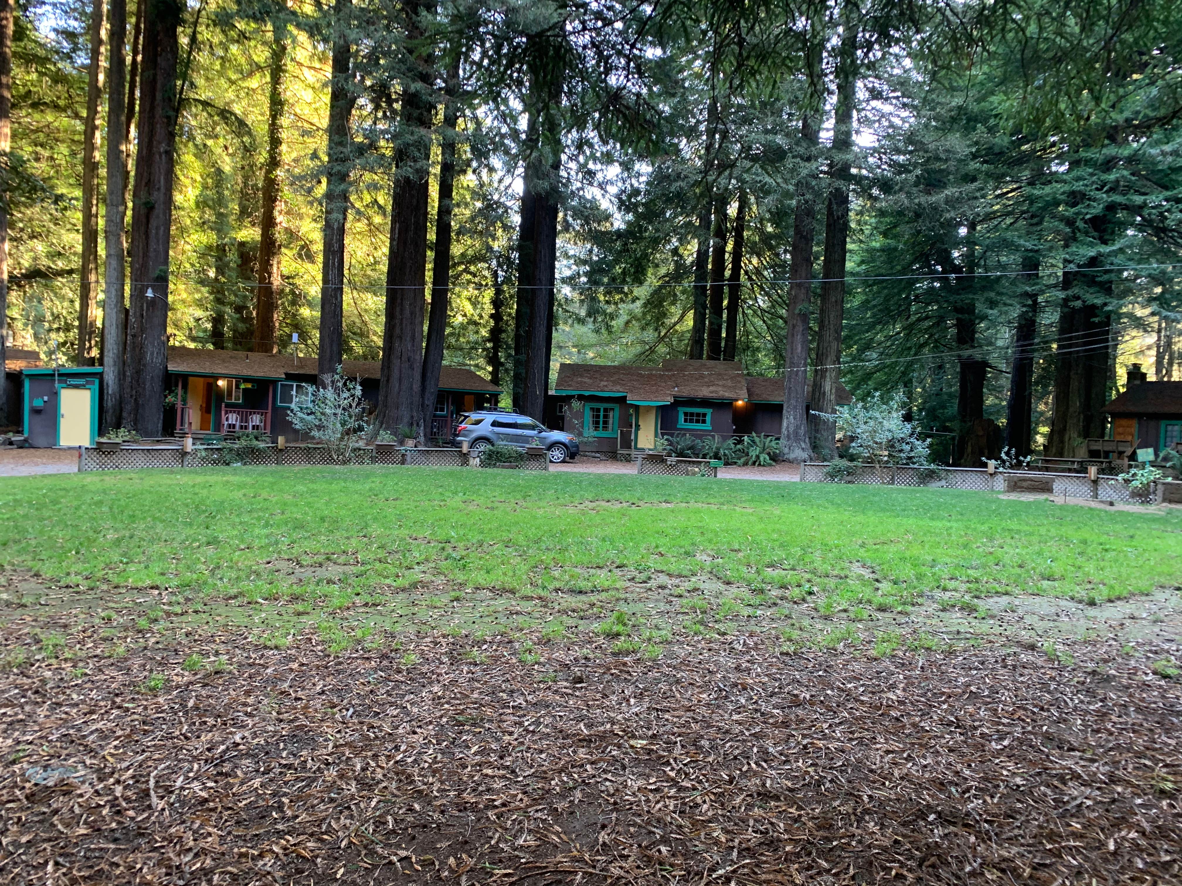 jeanne D.'s photo of a cabin at Emerald Forest Cabins & RV near Carlotta, CA