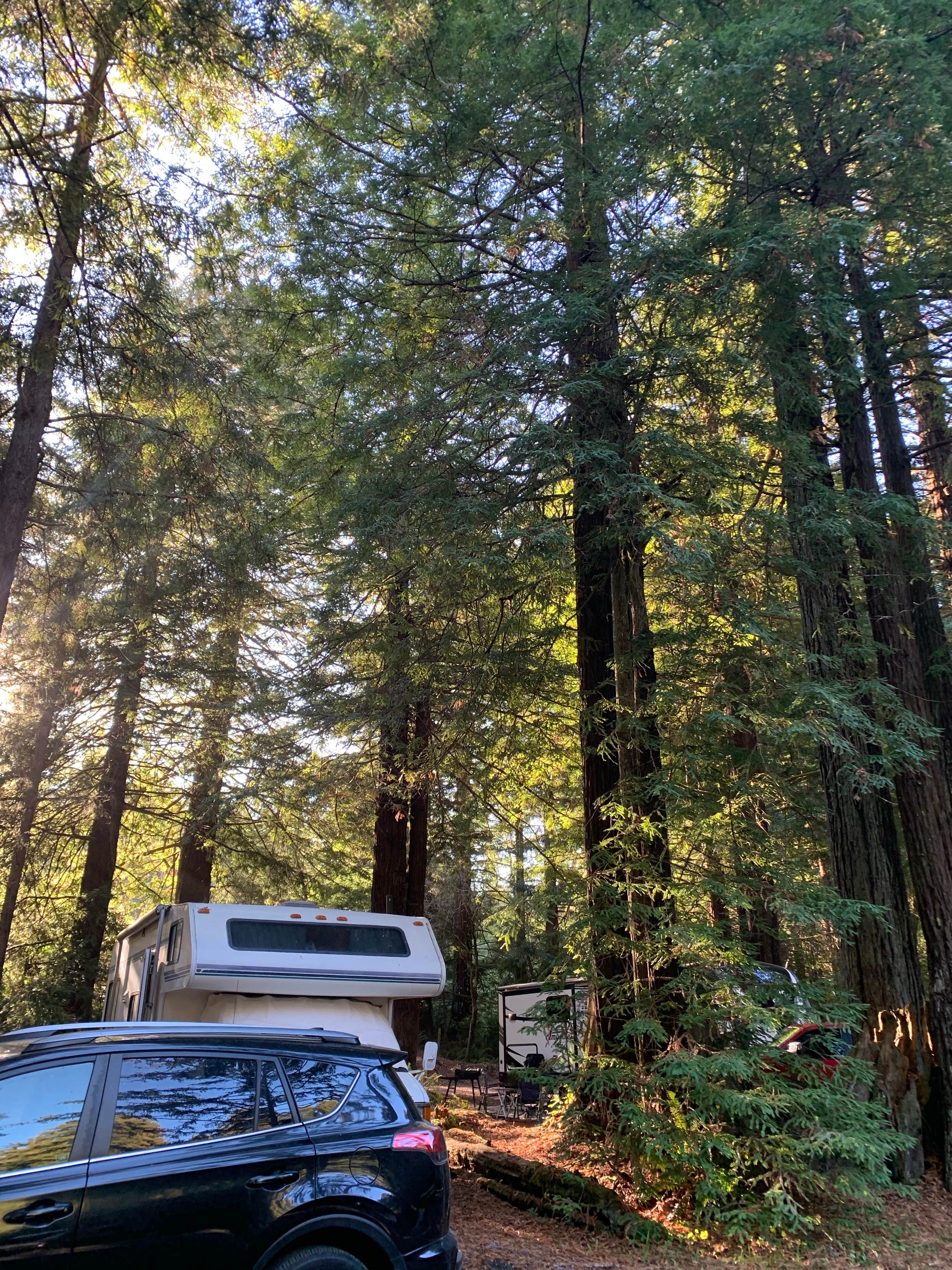 jeanne D.'s photo of rv camping at Emerald Forest Cabins & RV near Somes Bar, CA