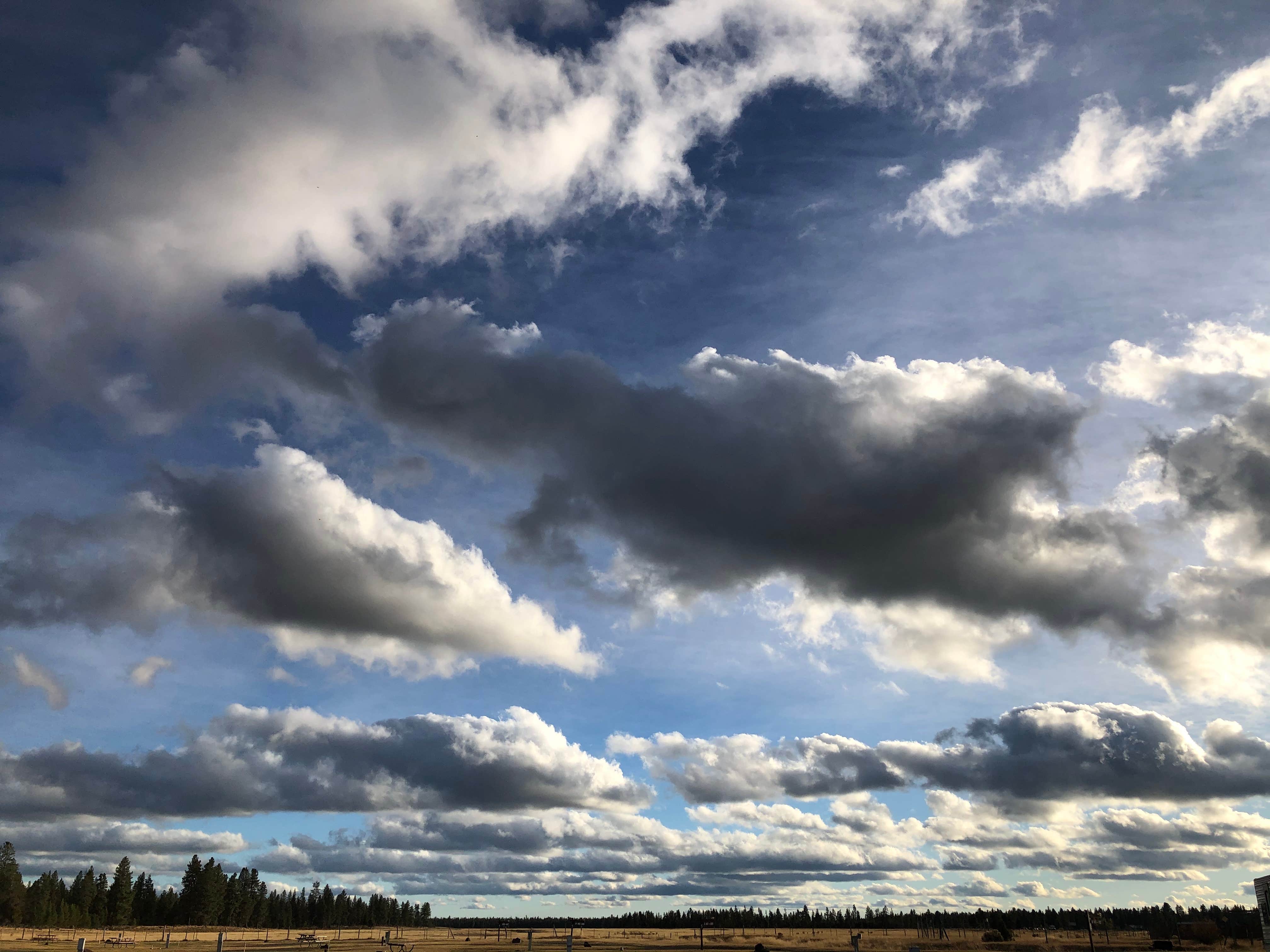 Camper-submitted photo at Cascade Meadows RV Resort near Gilchrist, OR