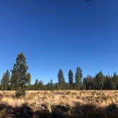 Review photo of Cascade Meadows RV Resort by Danielle C., October 24, 2020