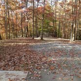 Review photo of Royal Oak Campground — Hungry Mother State Park by Evan G., October 24, 2020