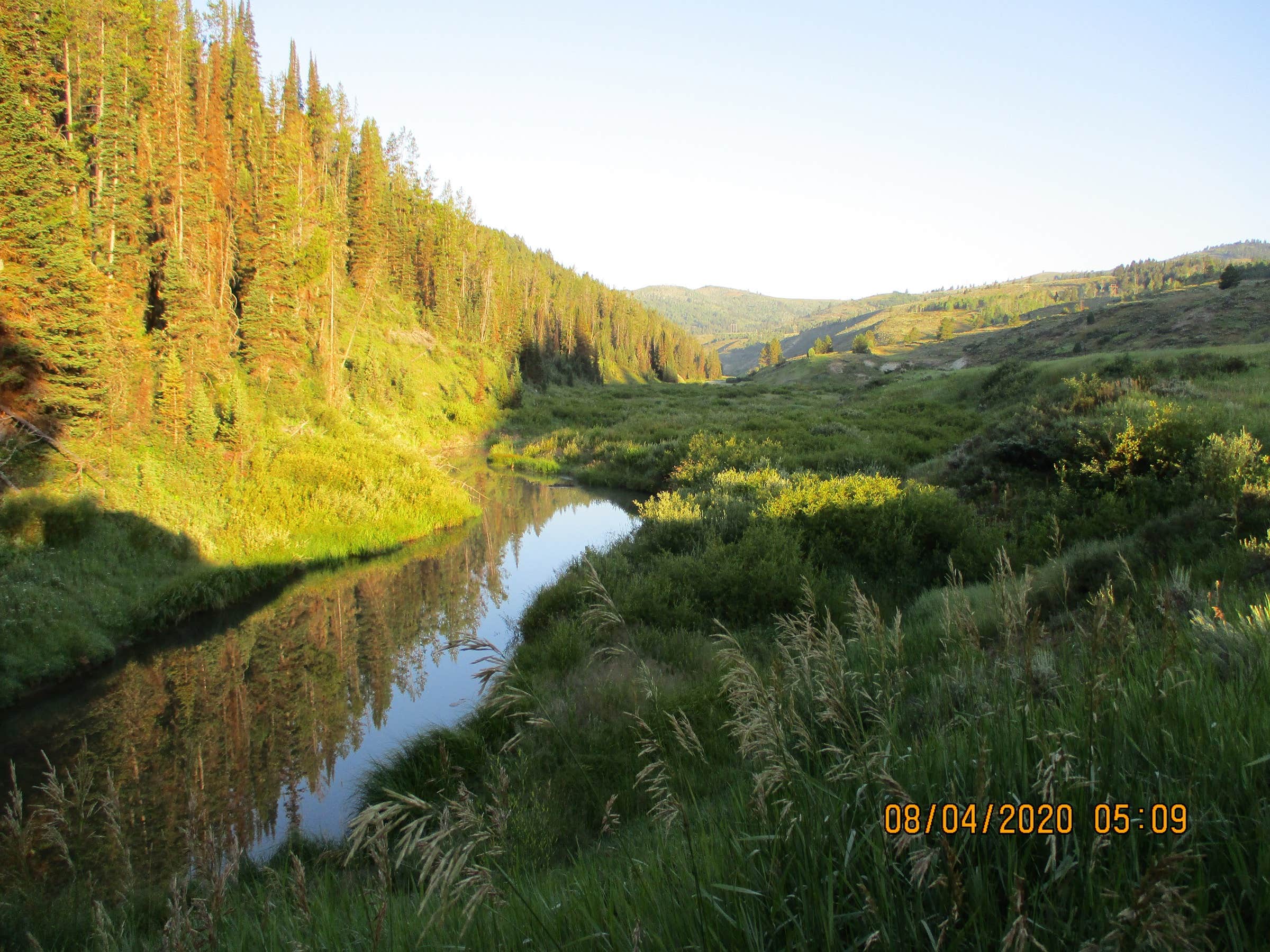 Camping near Bear Den RV Resort: Pine Bar, White Bird, Idaho