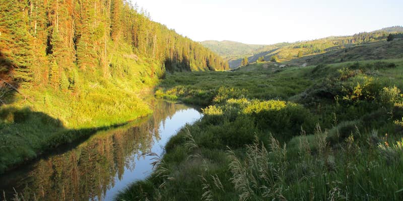 Camper submitted image from Pine Bar