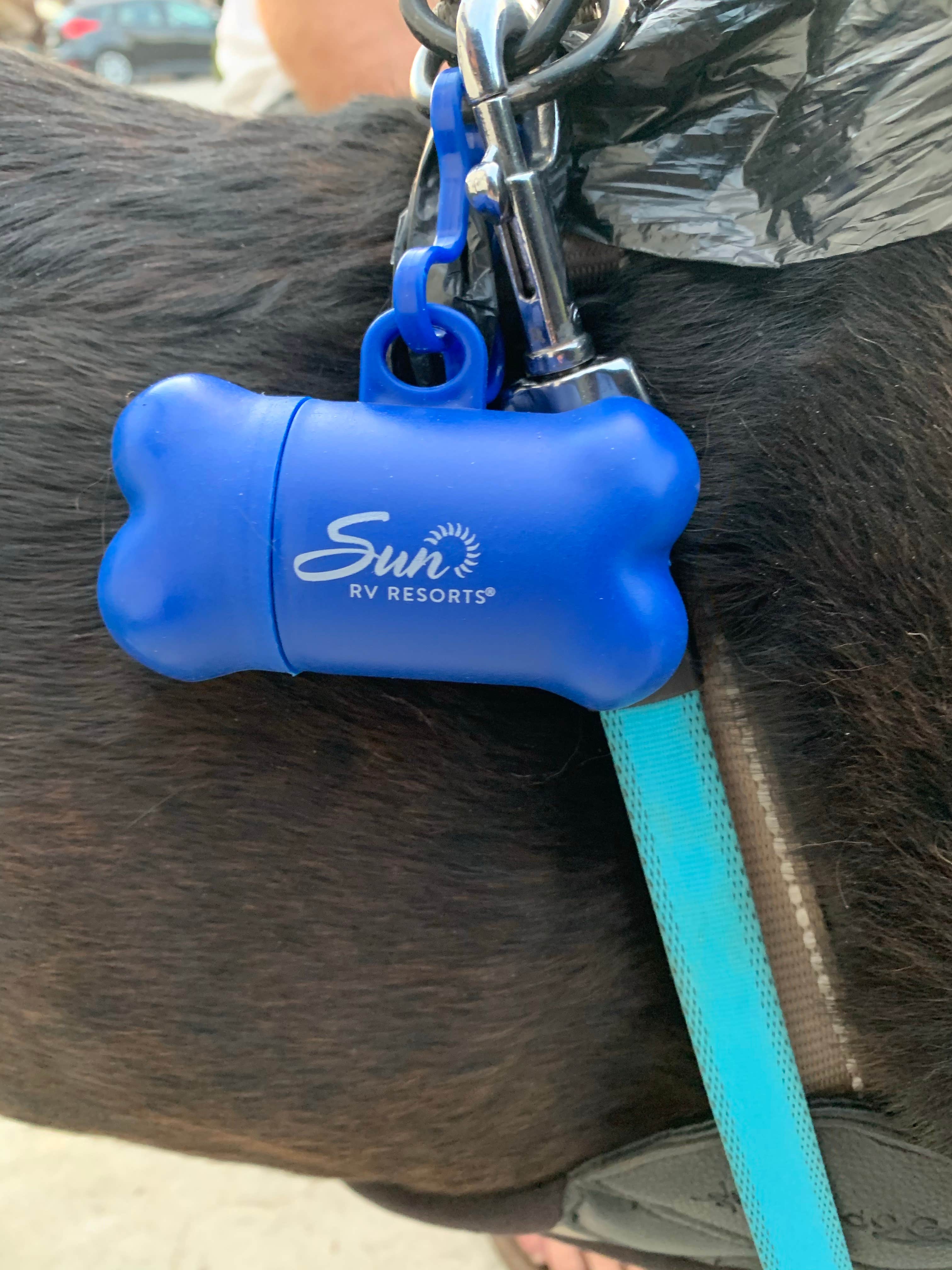 Camper-submitted photo at Vines RV Resort, A Sun RV Resort near Fort Hunter Liggett, CA